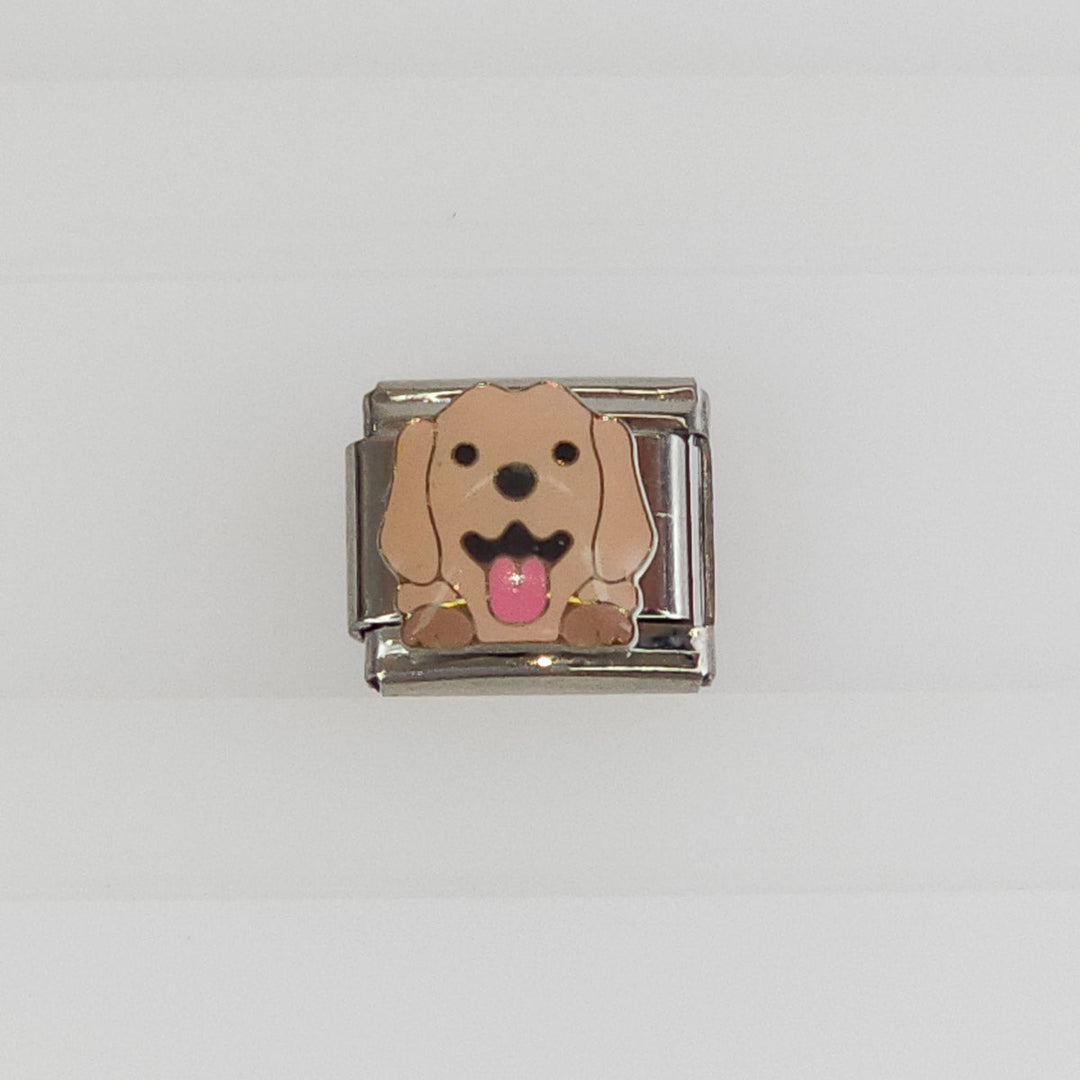 Charm Perrito Lengua