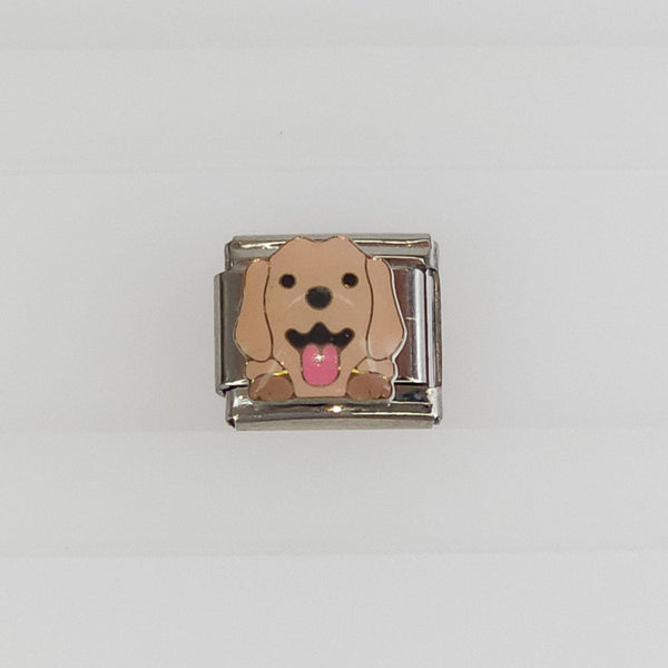 Charm Perrito Lengua