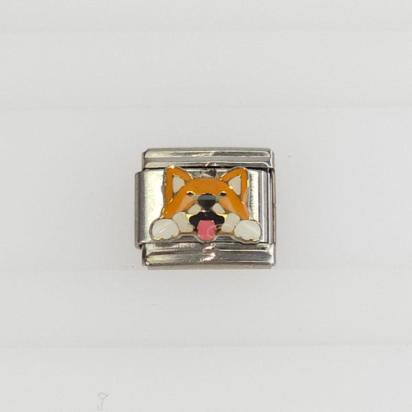 Charm Perrito Orejas