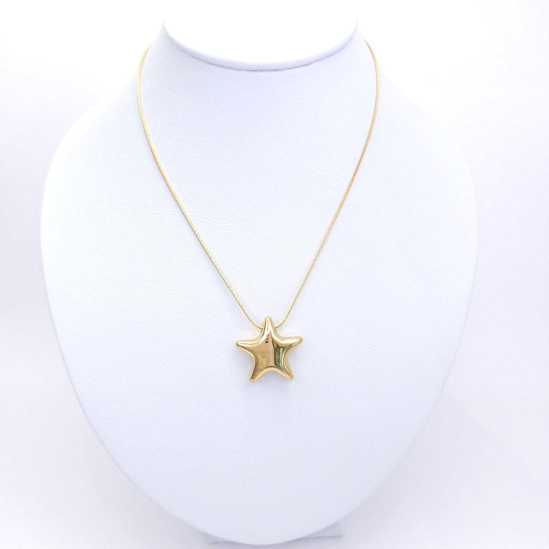 Collar Estrella Lisa 