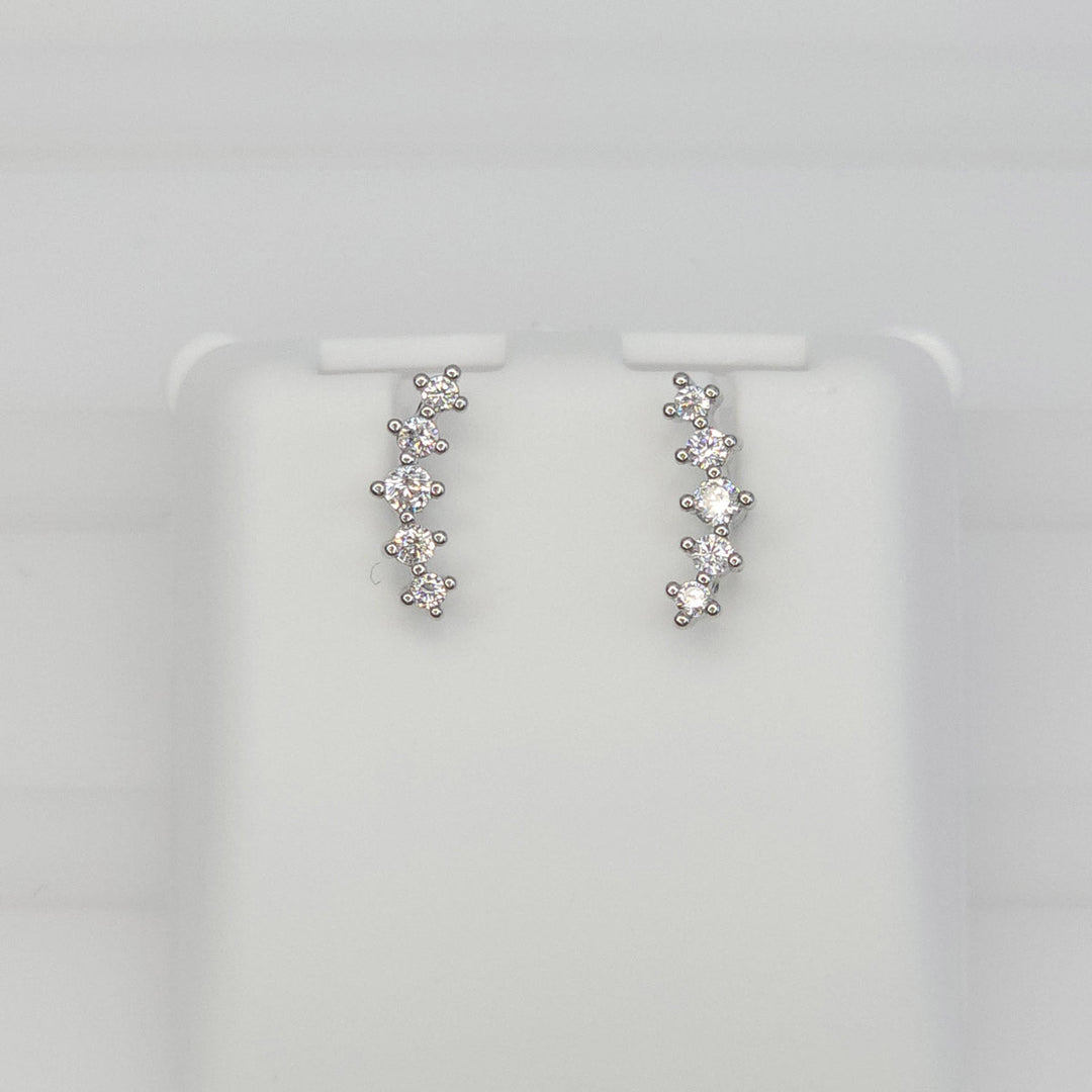 Broquel con Zirconias en Curva 